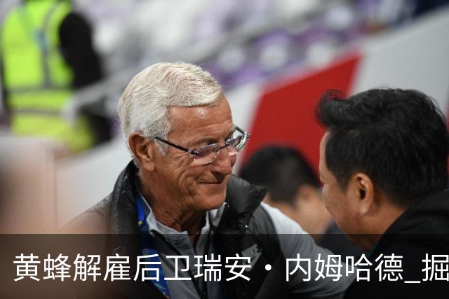 黄蜂解雇后卫瑞安·内姆哈德 掘金有望成为其新东家